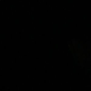 Meet your Posher, Delilah